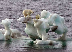 Amanda Byrd photo from 2004. Just an interesting image caught in passing, now an iconic message for some.