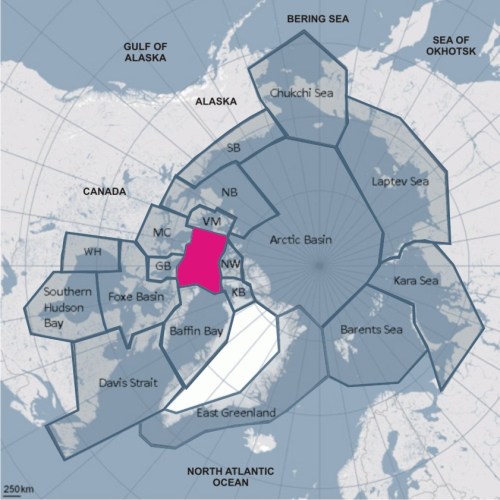 Figure 1. Lancaster Sound, magenta. Map courtesy Polar Bear Specialist Group, additional labels added.