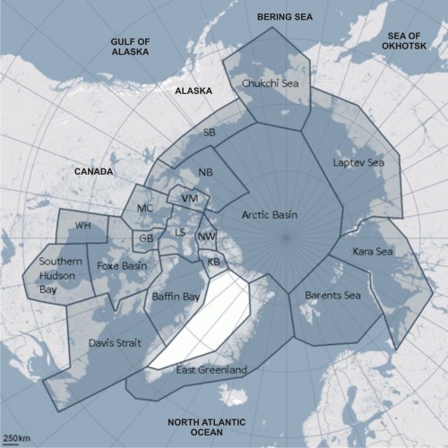 Figure 2. The 19 polar bear subpopulation boundaries around the Arctic that polar bear biologists use for their studies. Courtesy IUCN Polar Bear Specialist Group (with some labels added).