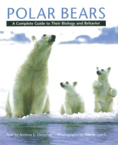 AD-frontpage.jpg_1537579949