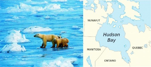 HB bears plus map_Wikipedia_lg