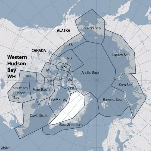 Figure 1. Polar bear subpopulations defined by the Polar Bear Specialist Group (PBSG). Note that Baffin Bay, Davis Strait, Western Hudson Bay and Southern Hudson Bay are all similar in that they become ice-free by early fall (the September minimum) or before.