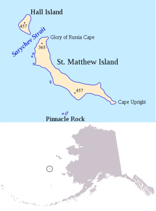 Figure 1. St. Matthew Island is in the Bering Sea off the west coast of Alaska: north of the Pribilofs and south of St. Lawrence Island, at about 60°N latitude. Compare this to the southern end of James Bay, Canada – which has a stable population of polar bears – at about 53 0N and Churchill, Manitoba – the “polar bear capital of the world” – at 58 046’N. Maps from Wikipedia.