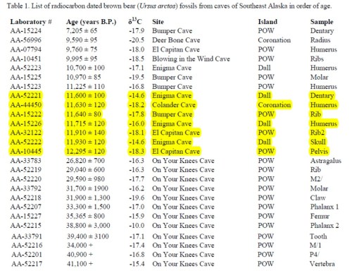 Table 1 from Heaton and Grady (2009): dates of brown bear fossils found in SE Alaska cave. The early post-glacial dates are highlighted. Click to enlarge.
