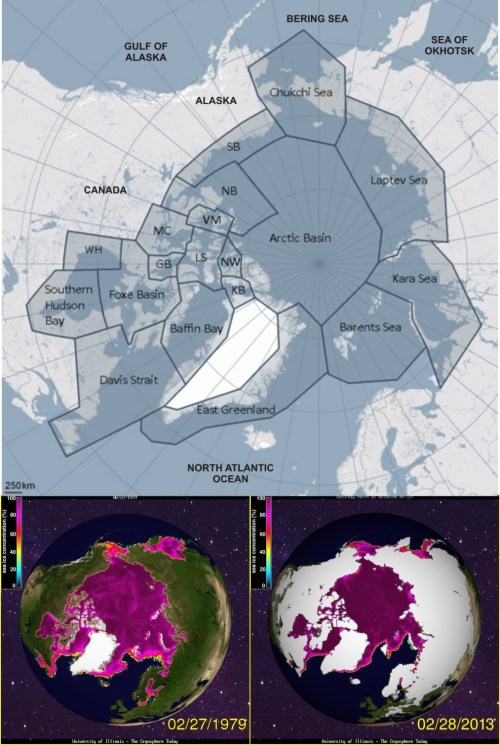Figure 1. Polar bear distribution map (adapted from the one provided by the PBSG) compared to sea ice concentration at Feb 28 (at or near the seasonal maximum extent) 1979 and 2013. I can’t see a difference – can you see a difference? The only place there is consistently sea ice in winter but not polar bears is the Sea of Okhotsk, but there is no evidence that polar bears have ever lived there despite the presence of seals. Click to enlarge