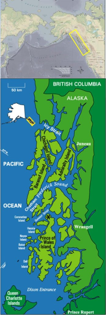 Figure 1. Upper: The region under discussion here includes Southeast Alaska and northern British Columbia. Lower: Figure 2. Map showing SE Alaska (light green) and the north end of coastal British Columbia (dark green), courtesy T. Heaton, U. of South Dakota. * marks location of On Your Knees Cave, on Prince of Wales Island, where many pre- and post-LGM brown bear bones were found. Admiralty, Baranof, and Chichagof Islands (the ABC Islands) are just to the north. Labels for Icy Strait and Chatham Strait added on Heaton’s map. Click to enlarge.