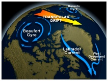Figure 3. The Beaufort Gyre.  See it in action in Figs.4 and 5. See also the National Snow and Ice Data Center (NSIDC) description.