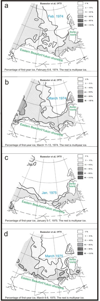 Figure 6. Ice thickness maps from Ramseier et al. 1975. The multiyear ice (white areas) seem to have impacted the west coast of Banks Island severely in the springs of both 1974 and 1975, while the coast of the Eastern Beaufort/Yukon mainland in the south may have been more severely impacted in 1975. Most of the sampling of polar bears in the 1970s occurred around Banks Island, with some along the Eastern Beaufort/Yukon coastline. 