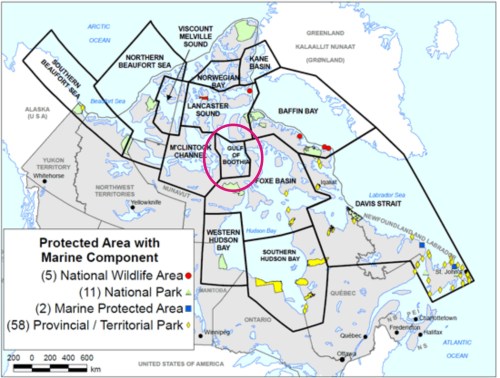 Figure 1. The Gulf of Boothia (circled) is right in the middle of the Canadian Arctic. In terms of geographic area, it is one of the smallest of all 19 subpopulations worldwide: at only 170,000 km2, only the Norwegian Bay and Kane Basin subpopulation regions, also in Canada (just to the north of Gulf of Boothia), are smaller at 150,000 and 155,000 km2 respectively (Vongraven and Peacock 2011). The Gulf of Boothia supports the highest density of polar bears known.Modified from map of polar bear protected areas provided by Environment Canada.