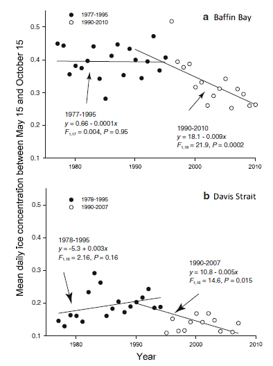 Figure 1. This is Fig. 2 from Rode et al. (2012), showing “mean daily summer sea ice concentration (May 15-October 15)” in Baffin Bay (top) and Davis Strait (bottom). The years of study are slightly different for the two areas. Notice that sea ice concentration for Davis Strait showed an increasing trend between 1978 and 1995 and a declining trend between 1990-2007.