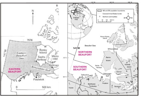 Figure 1. Re-jigging of polar bear subpopulations now splits what used to be an entirely Canadian segment, called the “Eastern Beaufort” (map on the left, from Stirling and Lunn 1997), into “Southern Beaufort” (shared with the USA) and “Northern Beaufort,” with the Canada-USA border at 141 W (map on the right, from Stirling et al. 2011). Labels added for clarity. Most of the polar bears sampled for the Stirling et al. paper were captured along the west and south coasts of Banks Island, although a few were captured north of Banks Island in M’Clure Strait and in Amundsen Gulf to the southeast.