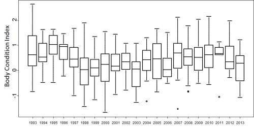Figure 4. Body condition of adult males in Svalbard in spring, from Aars and Andersen. Original caption: “Body condition index of adult male polar bears caught in spring (Mar-May) in the period 1993-2013.” There is no significant trend over time, according to the authors. Black dots are outliers. The “body condition index” values (not defined) appear to be anomalies (i.e. “0” is “normal”) – I’ll correct this if I find out otherwise.