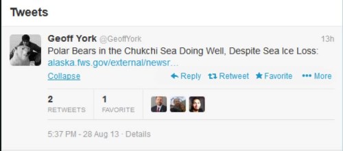 Chukchi bears press release tweet_Geoff York Aug 28 2013