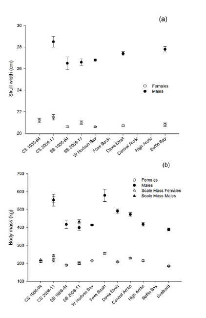 Figure 1. Skull width, which measures amount of stored fat (a) and weight (b) of Chukchi male and female polar bears compared to other populations measured. CS, Chukchi Sea; SB, Southern Beaufort; Central Arctic = parts of Gulf of Boothia and M’Clintock Channel; High Arctic = Lancaster Sound. 