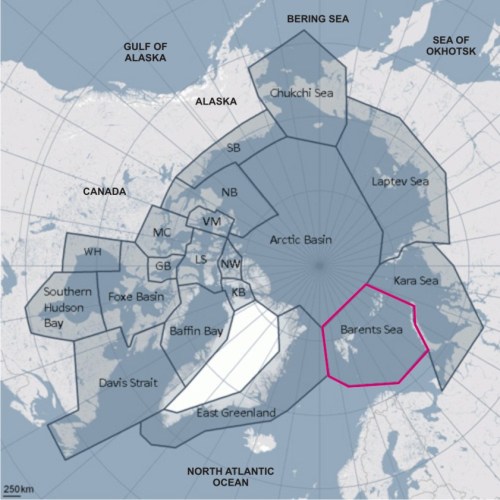 Figure 1. Polar bear subpopulations, with the Barents Sea region highlighted; map courtesy the IUCN Polar Bear Specialist Group (PBSG), extra labels added.