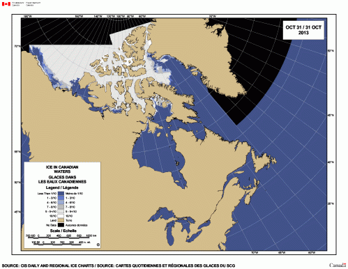  Figure 3. Sea ice extent and concentration in the Canadian Arctic on October 31, 2013. Given that ice only needs to be 30 cm (about 1 foot) thick or less to support an adult male polar bear, even “young grey-white ice (15-30 cm thick, according to the Canadian Ice Service) makes a useful hunting and/or traveling platform for bears. Click to enlarge.