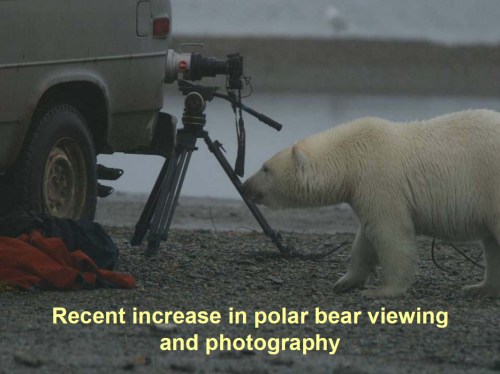 Figure 1. From T. DeBruyn, 2011. Slide 1 from “Activities in polar areas – tourism.” Presentation to the 2011 Polar Bear Meeting in Nunavut, USA contingent. Oct 24-26, 2011.