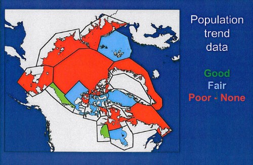 Figure 6. Despite 40 years of research, there are only two regions that have long-term data good enough for establishing population trends. From Derocher and Stirling 2011. Slide from “Conservation status, monitoring, and information gaps.” Invited speaker presentation to the 2011 Polar Bear Meeting in Nunavut, USA contingent. Oct 24-26, 2011.