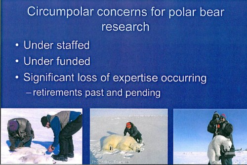 Figure 2. The sad state of polar bear research. From Derocher and Stirling 2011. Slide from “Conservation status, monitoring, and information gaps.” Invited speaker presentation to the 2011 Polar Bear Meeting in Nunavut, USA contingent. Oct 24-26, 2011.