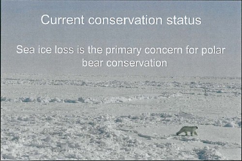 Figure 7. According to polar bear biologists, global warming has replaced oil and gas exploration as the newest perceived threat to polar bears. From Derocher and Stirling 2011. Slide from “Conservation status, monitoring, and information gaps.” Invited speaker presentation to the 2011 Polar Bear Meeting in Nunavut, USA contingent. Oct 24-26, 2011.
