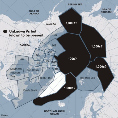 Figure 2. Polar bear subpopulations that have no official estimate but where polar bears are known to live. Map from IUCN Polar Bear Specialist Group.