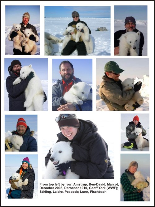 Figure 8. Don’t these photos (included on personal job websites, accompanying news stories, or provided as promotional material) say “these people love their jobs”? Click to enlarge.