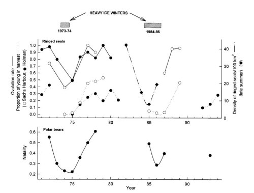 Figure 5. Holes in the polar bear data, lower panel (1979-1984; 1988-1992; 1994) suggest no money for field work some years in the Eastern Beaufort. From Stirling 2002:69).