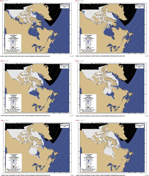 Figure 2. For a closer look at ice development in the Canadian Arctic, including Hudson Bay, I’ve used the Canadian Ice Service images for (upper left to right): 31 October, 18 November, 29 November, 7 December, 14 December, and 19 December. Note that by 18 November, there was sufficient ice for bears in Western Hudson Bay, Foxe Basin and Northern Davis Strait to start moving onto the ice. Two weeks later, bears in Southern Hudson Bay and Southern Davis Strait had enough ice to start hunting. The ice has expanded and thickened markedly since then.