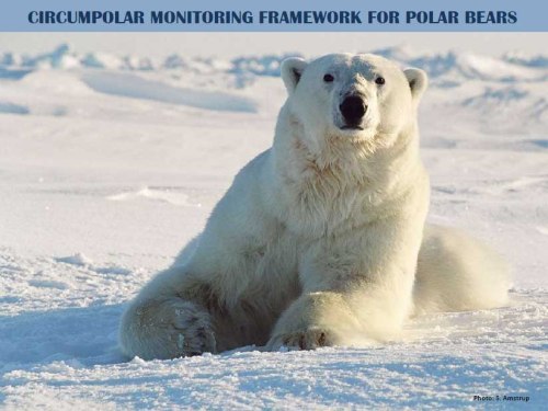 Figure 1. Vongraven 2013, Slide 1.