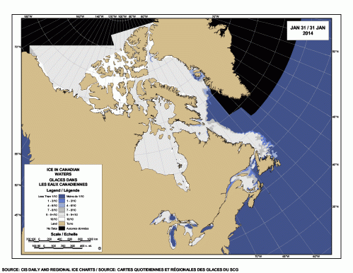 Figure 1. Sea ice and lake ice concentration from the Canadian Ice Service (CIS) for 31 January, 2014. Note the amount of ice in the east, off Labrador (the “Davis Strait” polar bear subpopulation).