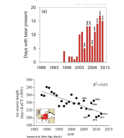 Figure 3. Two graphs from Iverson et al. 2014. Top (their supplemental Fig. S3a): “the number of days on which one or more polar bears was sighted at the East Bay Island,” eider colony, from 1997-2012. That could be the same bear sighted every day over that period or several sighted on multiple days. Bottom (their Fig. 2): “decline in annual sea ice coverage in Northern Hudson Bay Narrows” for 1988-2012 (days with >30% ice). While there is a trend in both data sets, note the lack of a consistent correlation between length of ice season (bottom) and polar bear presence (top) year-to-year, especially for 2009 vs 2011 and 2005 vs 2001. [this is the corrected version]