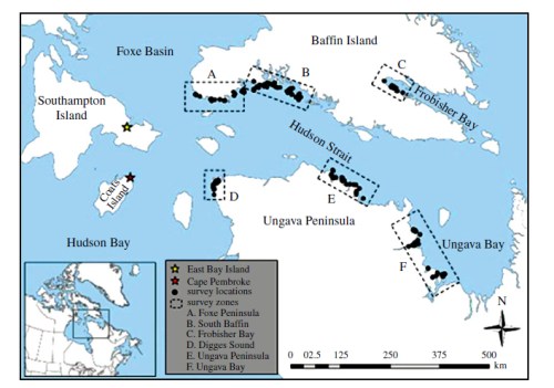 Figure 1. From Iverson et al. 2014 (their Fig.1), “map of the study area.” Most of the study sites are within the Foxe Basin polar bear subpopulation region (see Fig. 2 below), although the Ungava Peninsula (E), Ungava Bay (F) and Frobisher Bay (C) sites are in the Davis Strait subpopulation.