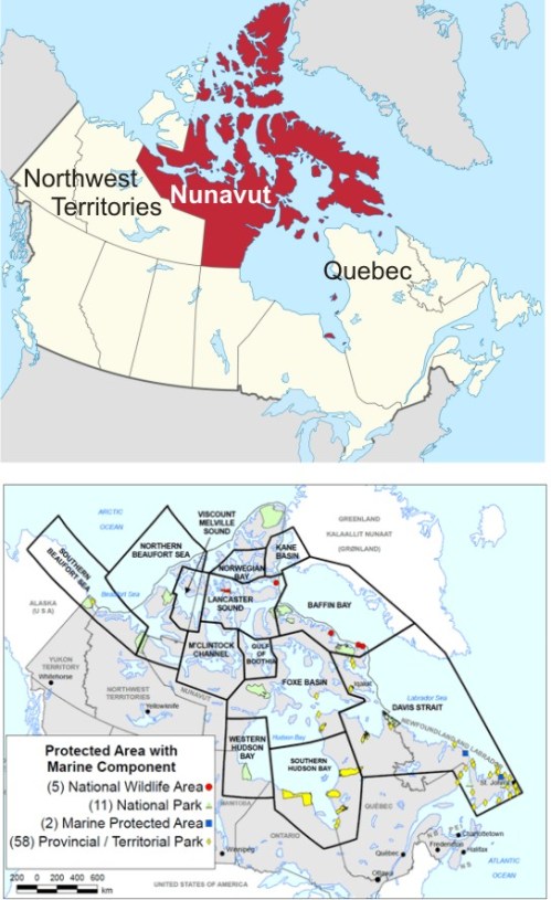 Figure 1. Territory covered by the Government of Nunavut (top, Wikipedia) and the 13 polar bear subpopulations in Canada (bottom, Environment Canada).