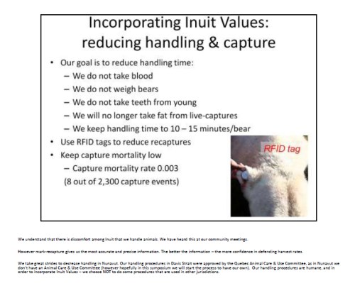 Figure 3. Lily Peacock and colleagues explain their proposed mark-recapture polar bear work at a Wildlife Research meeting in Rankin Inlet, Nunavut (Peacock et al. 2009). This is slide 17. Peacock’s speakers notes, in tiny print below the slide, are transcribed below.