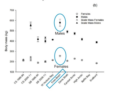 Figure 7. Weight of Foxe Basin male and female polar bears (circled by me) compared to other populations measured. CS, Chukchi Sea; SB, Southern Beaufort; Central Arctic = parts of Gulf of Boothia and M’Clintock Channel; High Arctic = Lancaster Sound.  This is figure 5b from Rode et al. 2014.