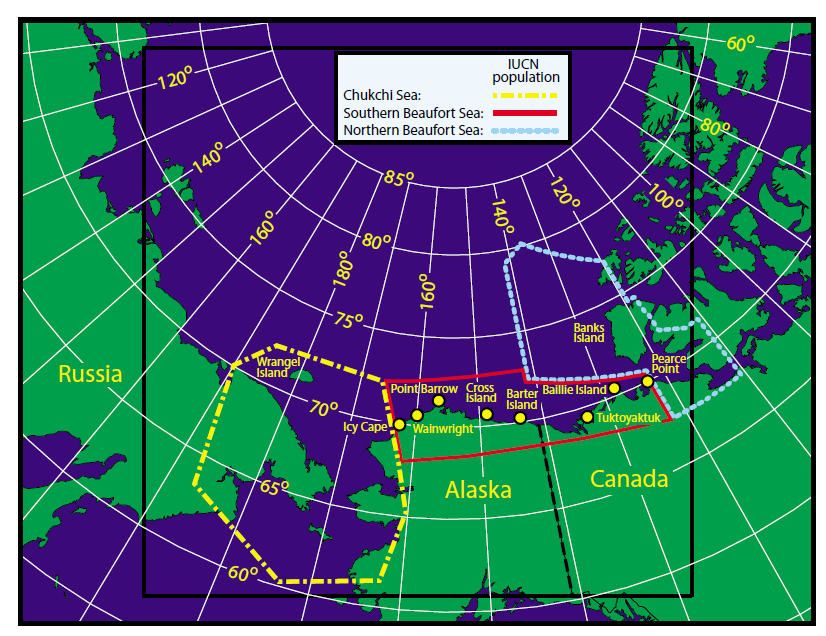 Figure 1. From the paper by Amstrup and colleagues (2005) describing the effect that movement of bears across subpopulation boundaries has on setting harvest quotas – and population estimates. Southern Beaufort boundary is solid red, Chukchi Sea is dashed yellow and Northern Beaufort is dotted light blue. “Point Barrow” is Barrow, AK (well inside the SB boundary). Click to enlarge.