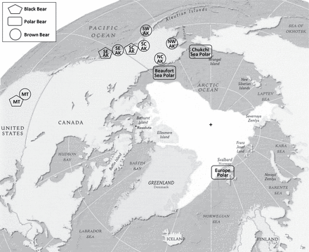 Figure1 from Cronin et al. 2014 (in press) showing the locations of bear samples used in their genetic study. MT, Montana; AK, Alaska; Polar bear samples were from the Chukchi, Beaufort and Barents Sea populations.