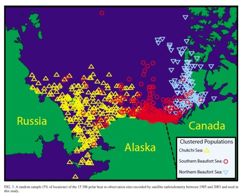 Figure 3. This is Fig. 3 from Amstrup et al. (2005), showing the overlap of collared western North American polar bears – the Southern Beaufort, Chukchi Sea and Northern Beaufort subpopulations. When heavy spring ice conditions periodically develop in the Eastern Beaufort, many bears in that area probably move west into the Chukchi Sea, as ringed seals did during the winter of 1974/75 (Burns 1975).