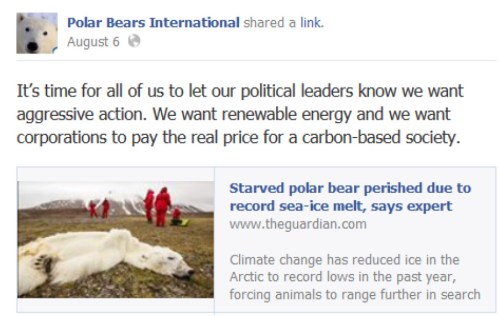 Polar Bears International Facebook_Aug 6