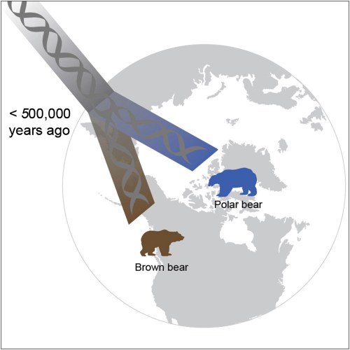 Lui et al. 2014 figure provided in the abstract.