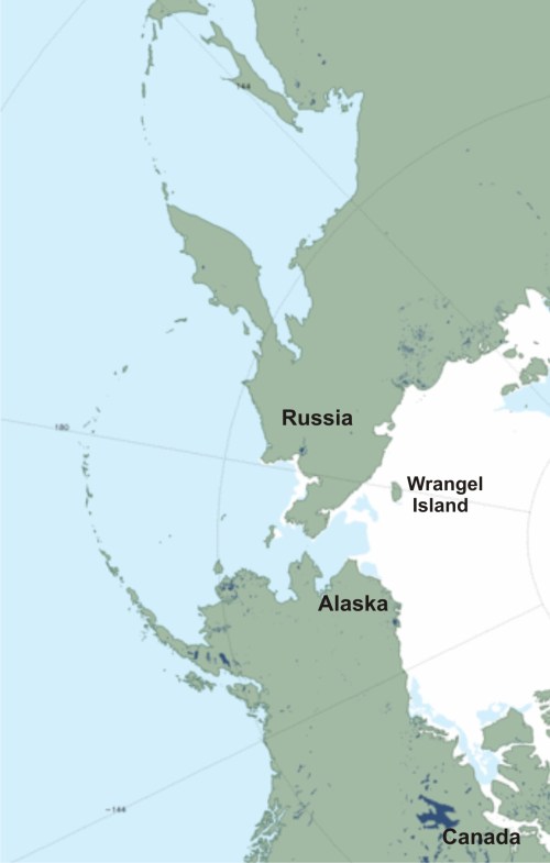 Figure 4. NSIDC sea ice extent at June 21, 2014 (a "MASIE" product), close-up of the Bering, Chukchi and Beaufort Seas, labels added. Note there is still ice around Wrangel Island (an important denning area) off the Russian coast and lots of ice off the coast of Alaska. While there is no ice left in the Sea of Okhotsk, polar bears don’t live there (and never have). Bears in this region generally stay on the ice as it retreats north – only a small percentage of bears spend the ice-free period on land. Click to enlarge.
