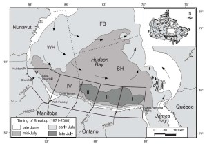 Figure 3. The peculiar pattern of ice melt on Hudson Bay is illustrated by this figure from Stirling et al. (2004). Ice along the southwest coast of Hudson Bay (darkest gray) is the last to melt each season. As a consequence, the southwest quadrant is where most Western Hudson Bay bears come ashore. Note that the “time of breakup” on this map uses the old, out-of-date method (50% ice coverage).