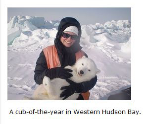 Derocher's recently graduated Master's student Alysa McCall has a photo op with a WHB cub (from her student page).