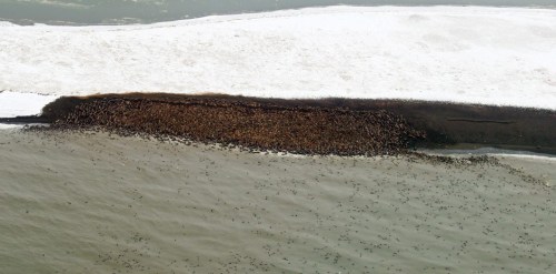 Point Lay 2013 NOAA photo