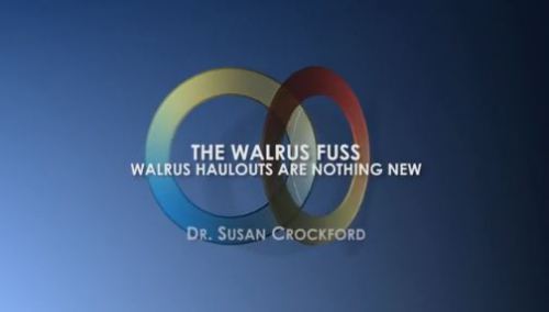 Walrus fuss_GWPF video Crockford