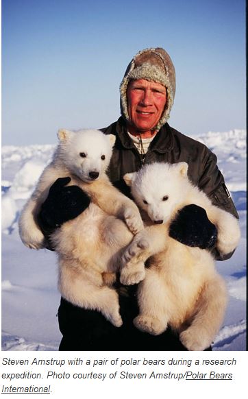 Amstrup_only solution_with 2 cubs_Oct 8 2014