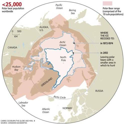 Sea ice graphic, Globe and Mail 23 November 2014