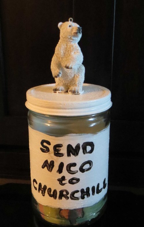 Send_Nico_to_Churchill_PolarBearScience