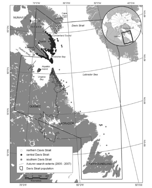 Figure 5. This is Fig. 1 from Peacock et al. 2013, a compilation of survey data of polar bears in Davis Strait from 1974-2007.
