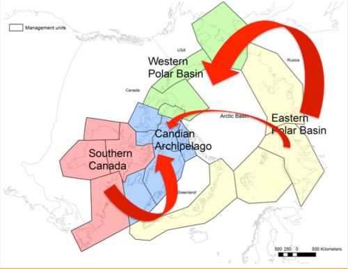 Figure 3 from Peacock et al. 2015.